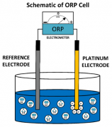 使用 ORP 計(jì)測(cè)量水中的臭氧